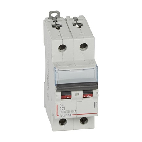 Disjoncteur DX³6000 - 1A - 2P - Courbe C - Vis/Vis