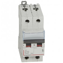 Disjoncteur DX³6000 - 10A - 2P - Courbe D - Vis/Vis