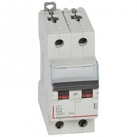 Disjoncteur DX³6000 - 2A - 2P - Courbe D - Vis/Vis