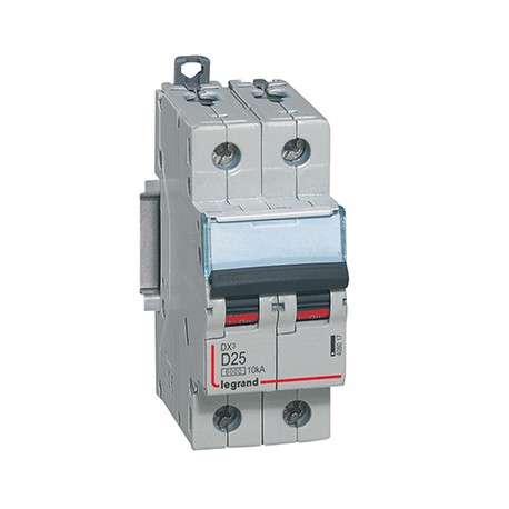 Disjoncteur DX³6000 - 25A - 2P - Courbe D - Vis/Vis