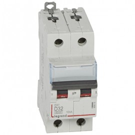Disjoncteur DX³6000 - 32A - 2P - Courbe D - Vis/Vis