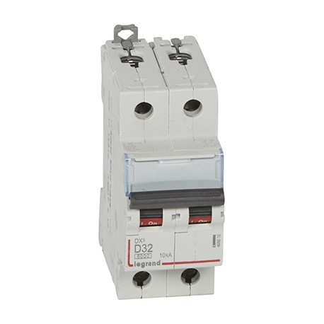 Disjoncteur DX³6000 - 32A - 2P - Courbe D - Vis/Vis
