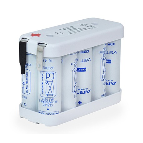 Batterie pour BAES - 12V - 0,8Ah - Flasque - Cellules AA