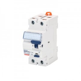 Lot de 6 interrupteurs différentiels - 2P - 63A - 30mA - Type AC