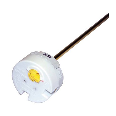 Thermostat à canne type TSE 450