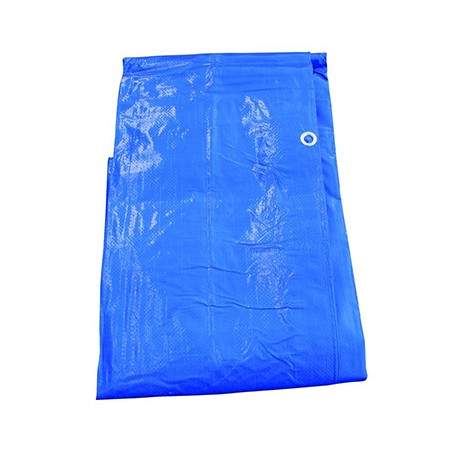 Bâche de protection - Plastique - 2x3m - Bleu