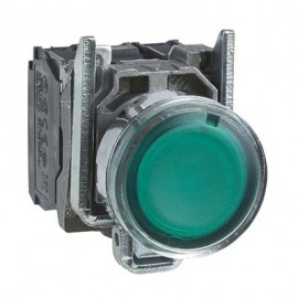Poussoir lumimeux LED - Harmony XB4 - 230 V - 1F + 1O - Vert