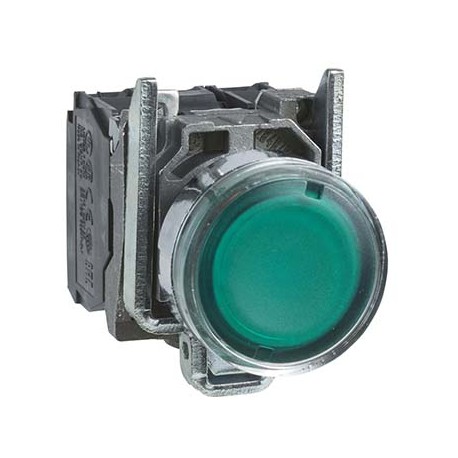 Poussoir lumimeux LED - Harmony XB4 - 230 V - 1F + 1O - Vert