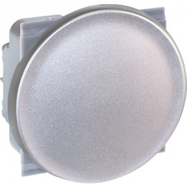 Interrupteur permutateur Comète - 1 poste - 10AX - Silver