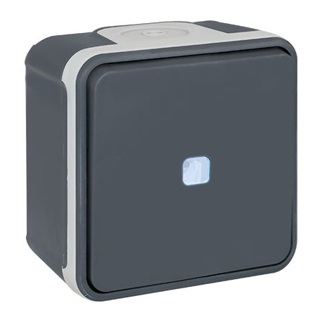 Bouton poussoir lumineux Oxxo - 1 poste - 10AX - 250V - Gris