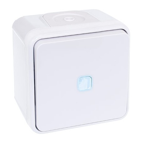 Bouton poussoir lumineux Oxxo - 1 poste - 10AX - 250V - Blanc