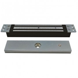 Ventouse encastrée V300B - 24V - 300kg