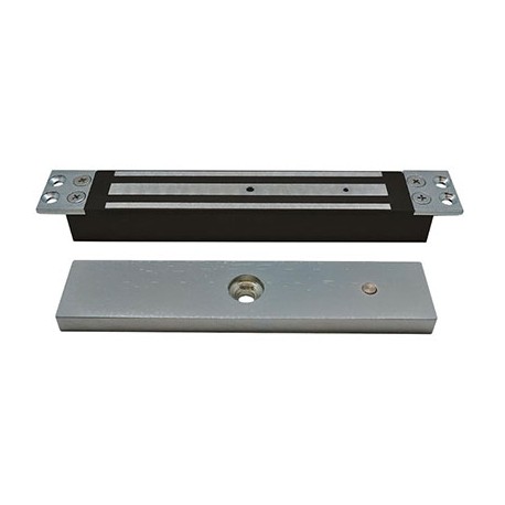 Ventouse encastrée V300B - 24V - 300kg