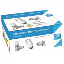 Ensemble robinetterie de chauffage thermostatique 15 x 21 - Femelle