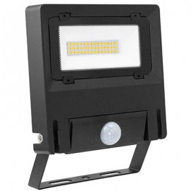 Projecteur extérieur Michelle - Noir - 30W - 3000K - 110°
