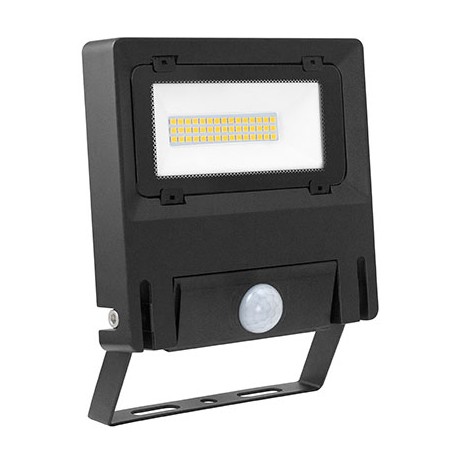 Projecteur extérieur Michelle - Noir - 30W - 3000K - 110°