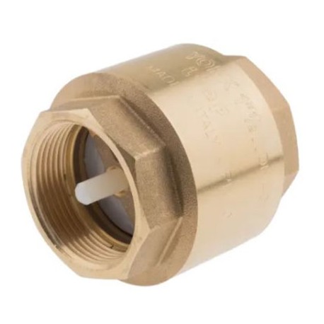 Clapet anti-retour RS Pro à ressort - Laiton - BSPP 1-1/2"