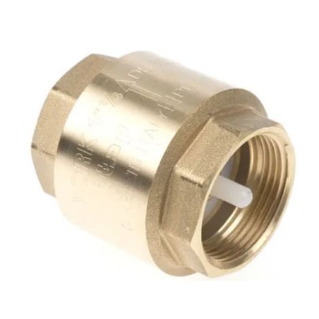 Clapet anti-retour RS Pro à ressort - Laiton - BSPP 1-1/4"