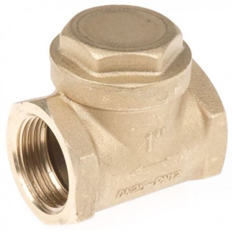 Clapet anti-retour RS Pro - BSPP 1" - Laiton
