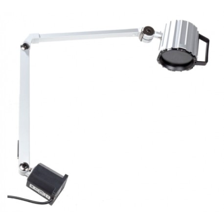 Lampe d'atelier halogène RS Pro - 55W - 240V - IP65 - Avec ampoule