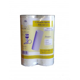 Lot de 2 cartouches filtrantes Anti-boue Polar - jetable - 2000l/h - 50µm - pour filtre PSD