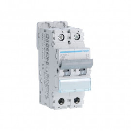 Disjoncteur Hager - 2P - 40A - 6-10kA - Type C