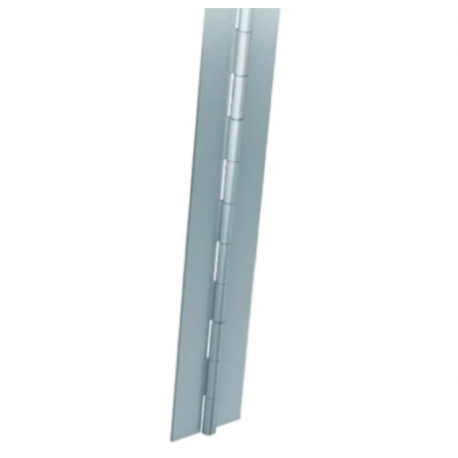 Lot de 2 charnières piano RS Pro - Acier - 900x40x1.2mm