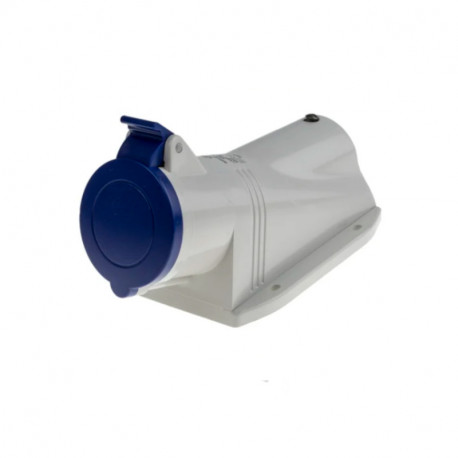 Connecteur industriel Femelle RS PRO - 2P+E - 32A - 230V