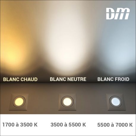 Spot LED plafond orientable dimmable blanc chaud 2700°K