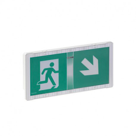 Luminaire sur source centrale Exiway Schneider Electric - IP65 - Led 2x1W
