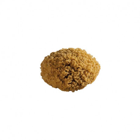 Éponge de mer 100% naturelle - 18-19cm
