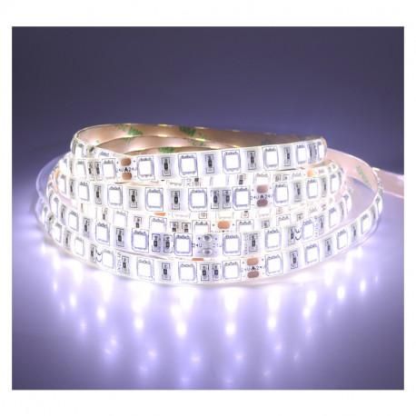 Ruban LED - 5m - 72W - 24V - 6000K - IP65 - Dimmable