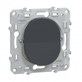 Va et vient Ovalis Schneider Electric - 10 AX - 250V - Anthracite