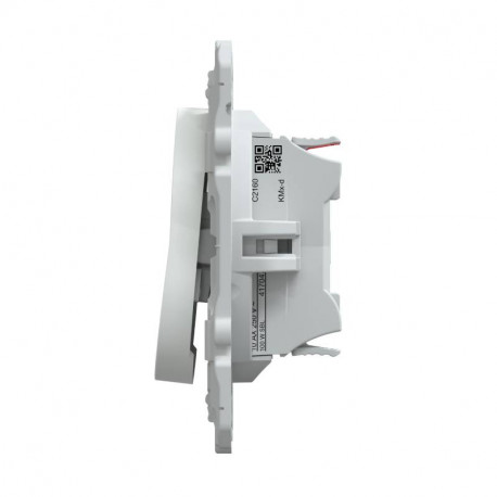 Mécanisme Double Va Et Vient OVALIS 10AX Blanc SCHNEIDER S320214 | Leroy Merlin