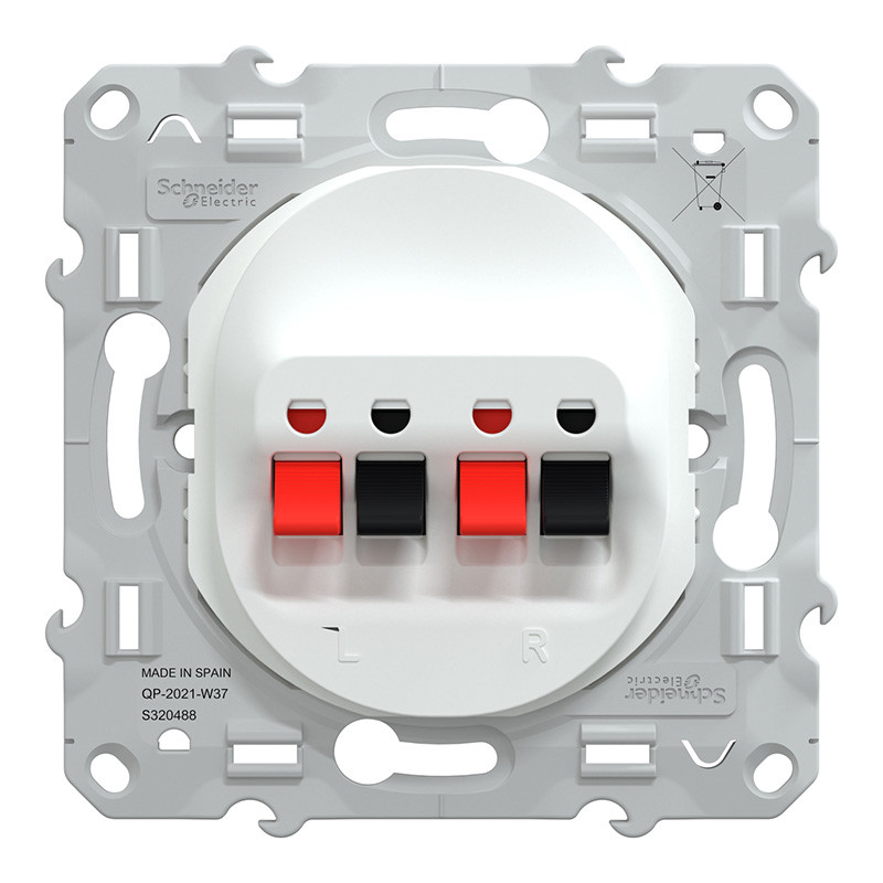 Prise Haut-parleur Encastrée Schneider Electric Ovalis - 2 Sorties, 4 Bornes à Vis - Couleur Anthracite - Référence S460488