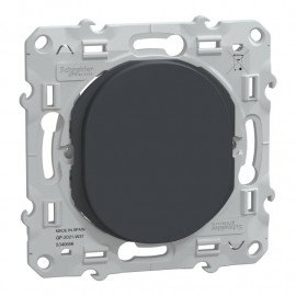 Obturateur Ovalis Schneider Electric - Encastré - Anthracite