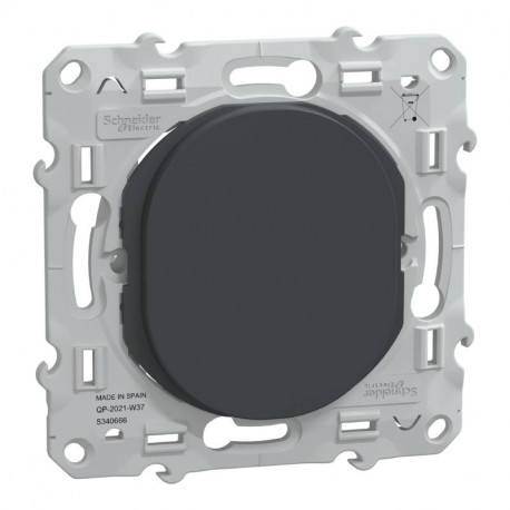 Obturateur Ovalis Schneider Electric - Encastré - Anthracite