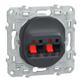 Prise haut parleur Ovalis Schneider Electric - 2 sorties - Encastré - Anthracite