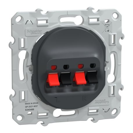 Prise haut parleur Ovalis Schneider Electric - 2 sorties - Encastré - Anthracite