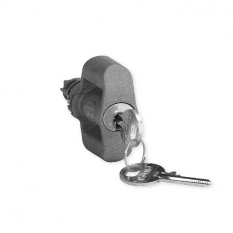 Serrure à clé 455 Iboco - Pour coffret IP66 Pedro - Avec manette