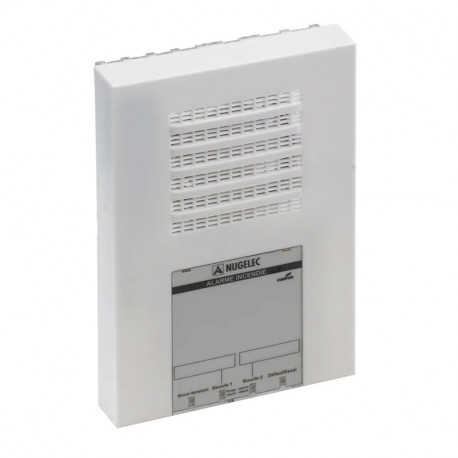 Alarme incendie PlaneteT4 2B Cooper security - Type 4 - 2 boucles