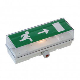 Bloc évacuation standard Cooper Security - Etanche - Incandescent - IP66