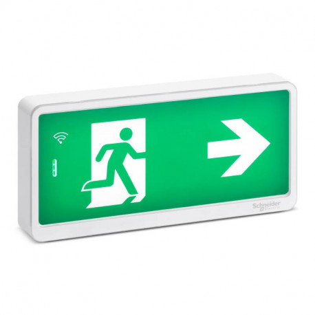 Bloc de secours d'évacuation Exiway light link Schneider Electric - IP42