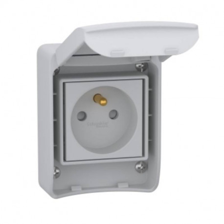 Prise de courant 2P+T Mureva Schneider Electric - 10/16A - 250V CA - IP65 - Gris