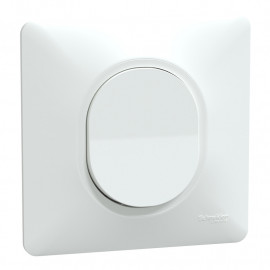 Va-et-vient 1 touche 10AX Ovalis Schneider Electric - 250V - Bornes automatiques - Blanc - Complet