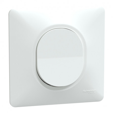 Va-et-vient 1 touche 10AX Ovalis Schneider Electric - 250V - Bornes automatiques - Blanc - Complet