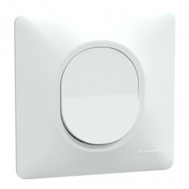 Bouton poussoir 1 touche 10AX Ovalis Schneider Electric - 250V - Bornes automatiques - Blanc - Complet