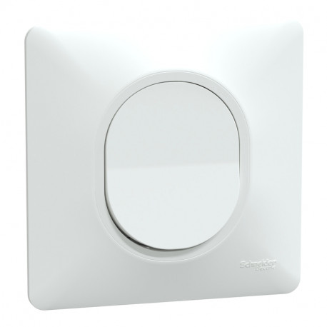 Bouton poussoir 1 touche 10AX Ovalis Schneider Electric - 250V - Bornes automatiques - Blanc - Complet