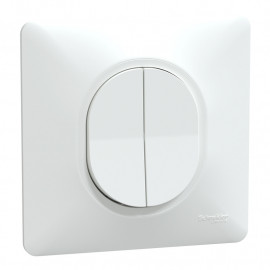 Va-et-vient 2 touches 10AX Ovalis Schneider Electric - 250V - Bornes automatiques - Blanc - Complet