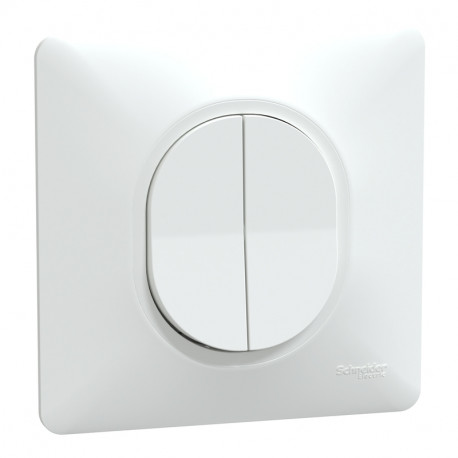 Va-et-vient 2 touches 10AX Ovalis Schneider Electric - 250V - Bornes automatiques - Blanc - Complet